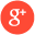 Google+ icon