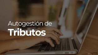 Paga online tus servicios 